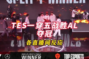 爱游戏娱乐-穆古鲁扎在TES比赛中夺冠，败北引发热议！的简单介绍